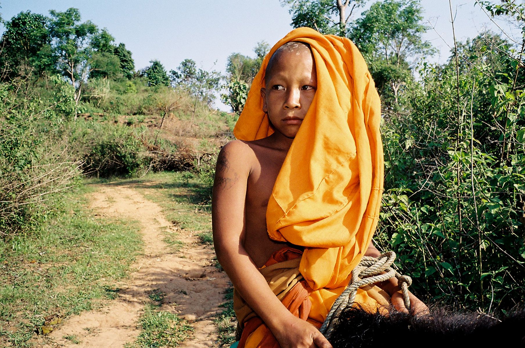 Buddha's Lost Children