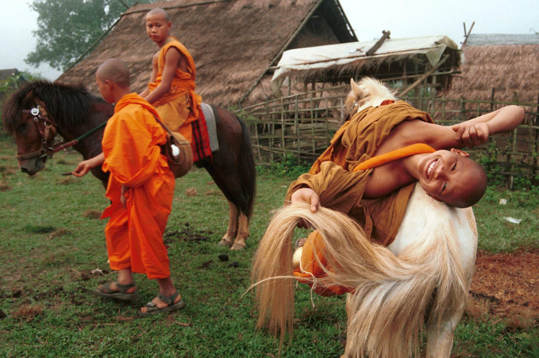 Buddha's Lost Children