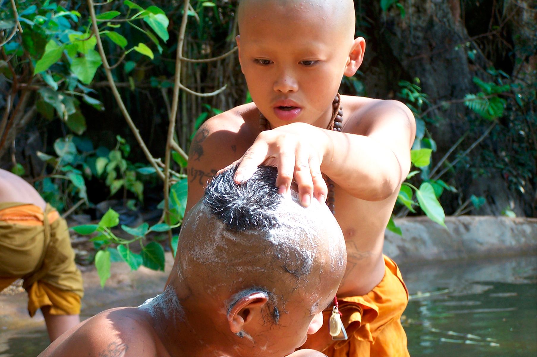 Buddha's Lost Children