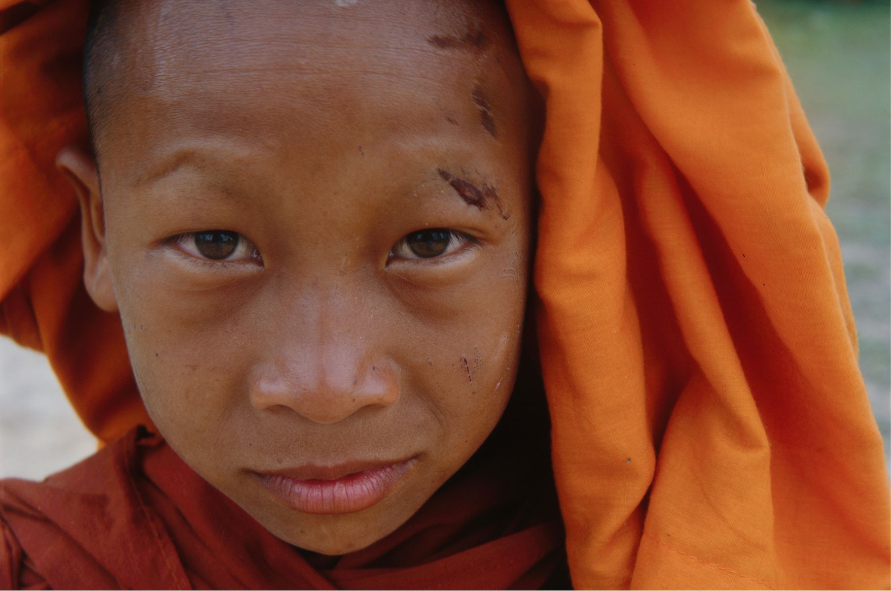 Buddha's Lost Children